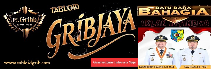 tabloidgrib.com