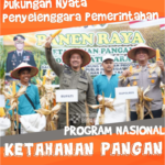 CutPaste_2025-05-17_16-29-20-801